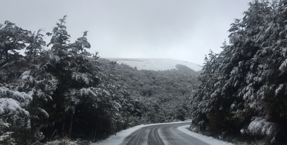 Summer Snow